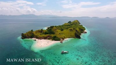 Shared Trip Komodo Island Packages