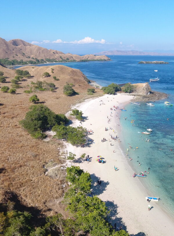 pink beach komodo 2d1n