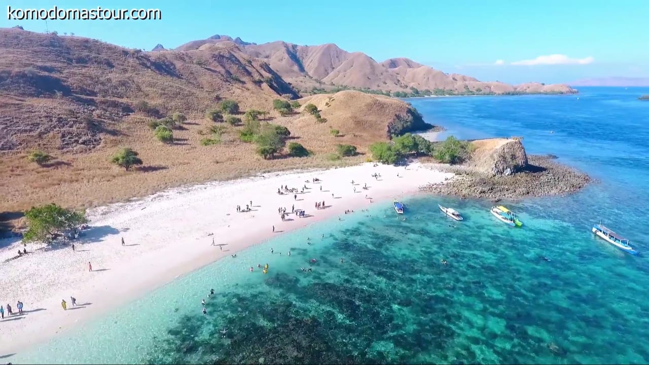 komodo island shore excursions