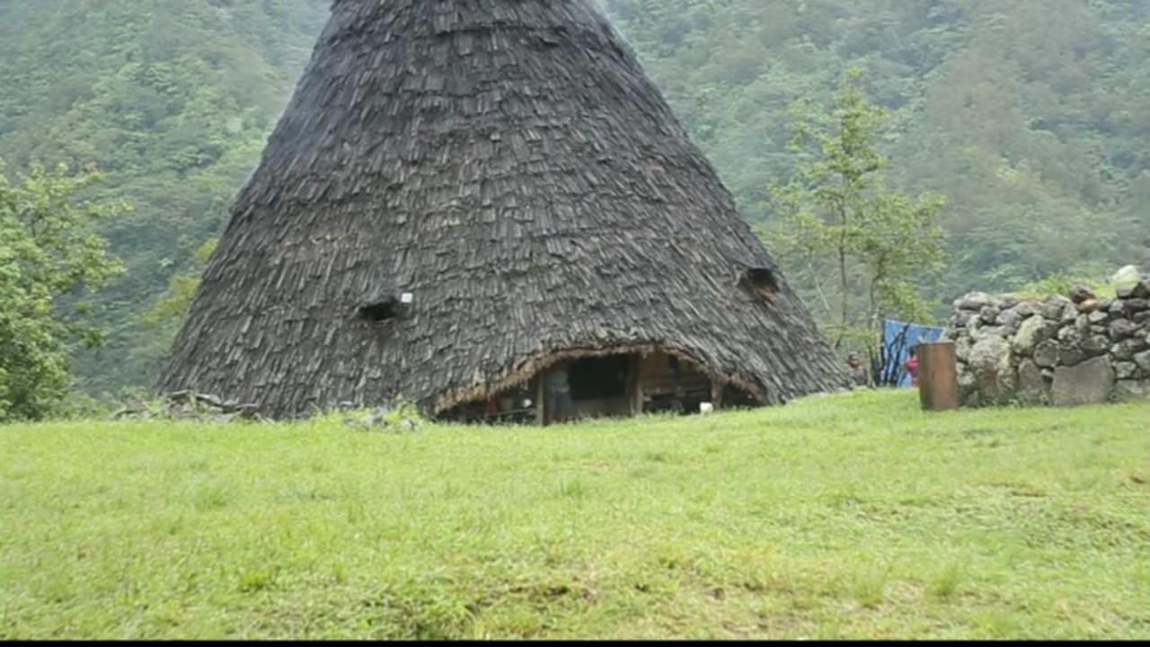 wae rebo traditional houses