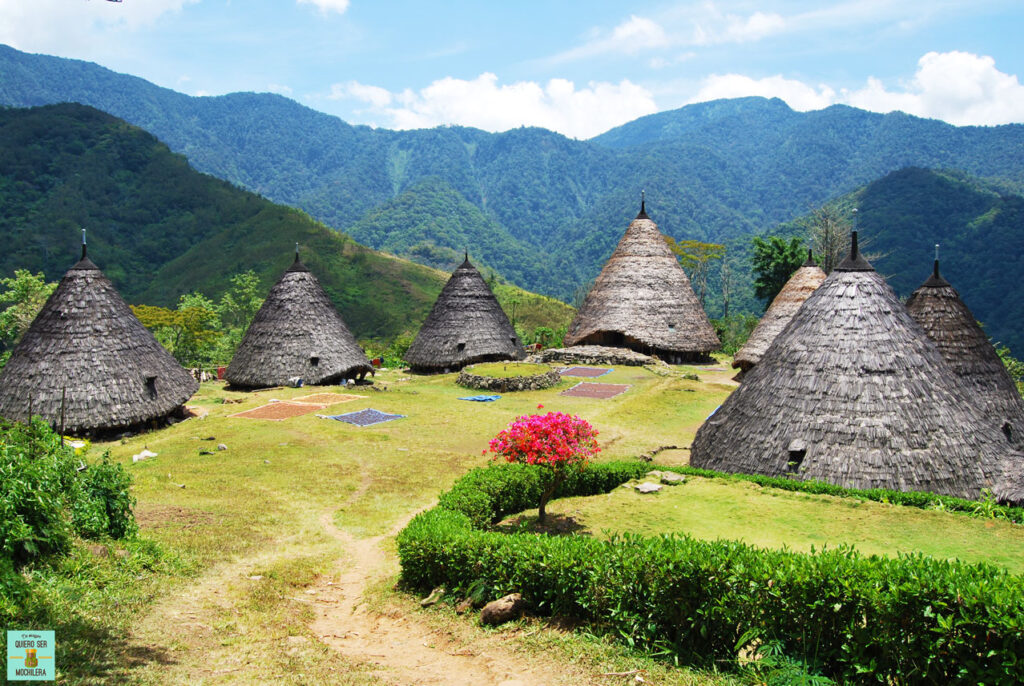 wae rebo flores island tour