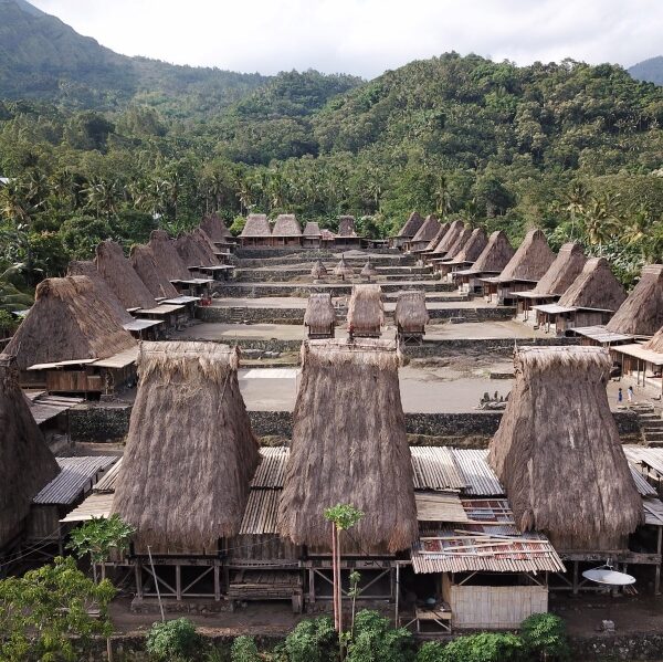 flores island tour
